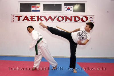 taekwondo kwon training